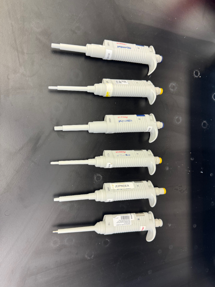 Image of Eppendorf Research Single Channel Pipettes - Quantity 6